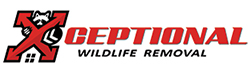 Sandy Springs Wildlife Removal